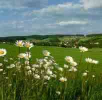 Ferienort Floß