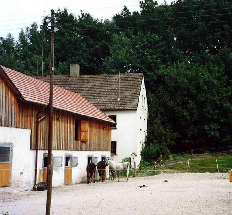 Unterkunft Ferienhaus Ludwig