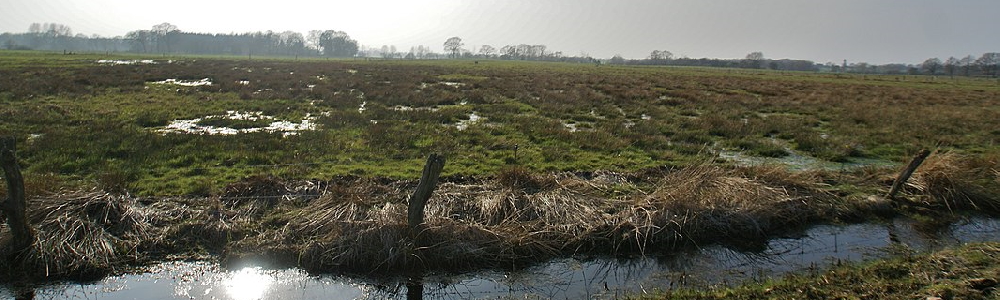 Unterkünfte in Nienwohld